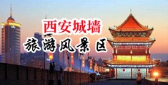 舔骚麻麻的骚蜜汁中国陕西-西安城墙旅游风景区